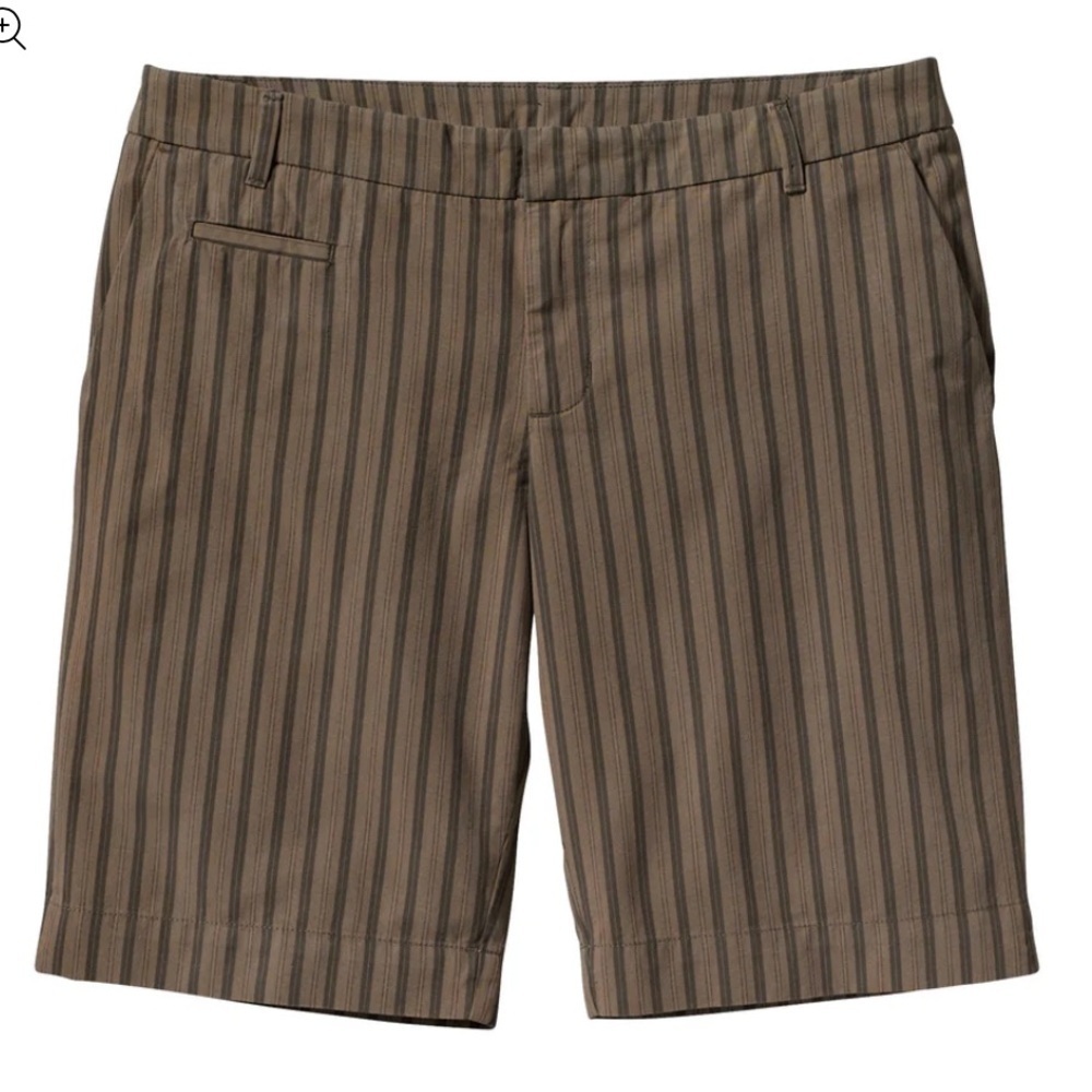 Patagonia Worn Wear Women’s Shorts in Tunisian Stripe: Mud size 2